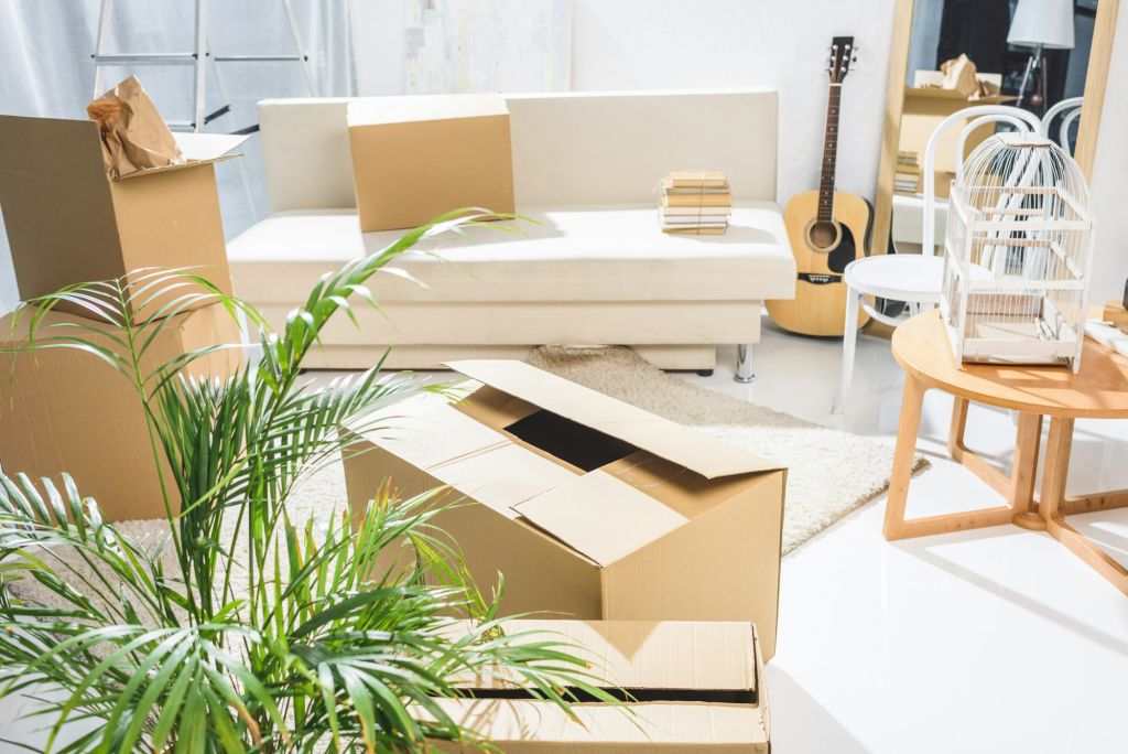 Minimalistic living room filled with moving cardboard boxes